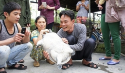 Bắt được ba ba khủng hơn 30 tuổi